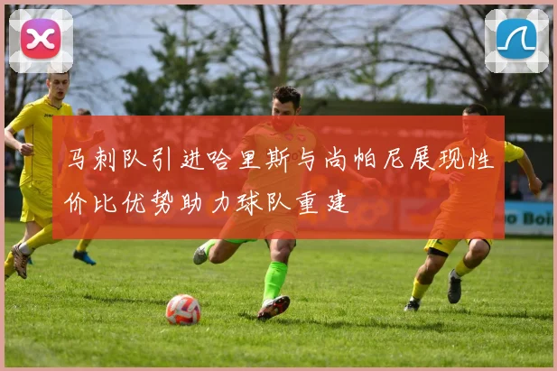 马刺队引进哈里斯与尚帕尼展现性价比优势助力球队重建